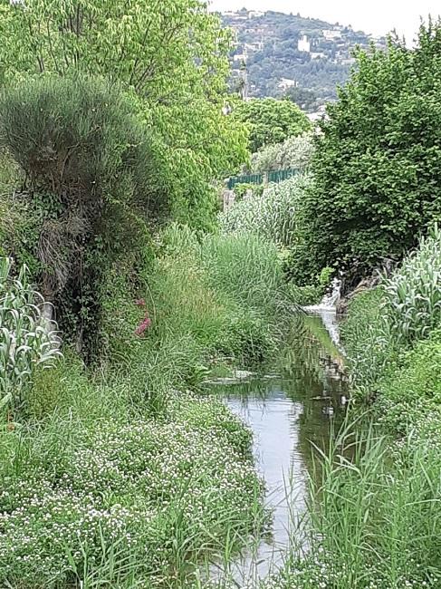 Canal reppe 1