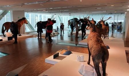 Galerie 1