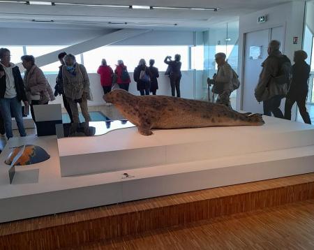 Galerie2