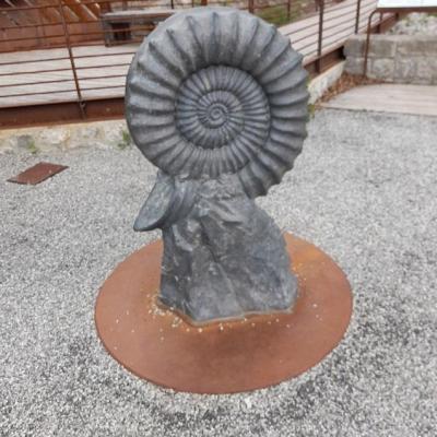 Moulage ammonite