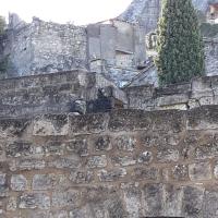 Château des Baux