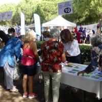 Stand1 1