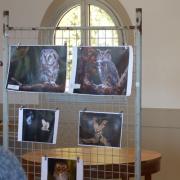 2019 0316 journee de la chouette 4