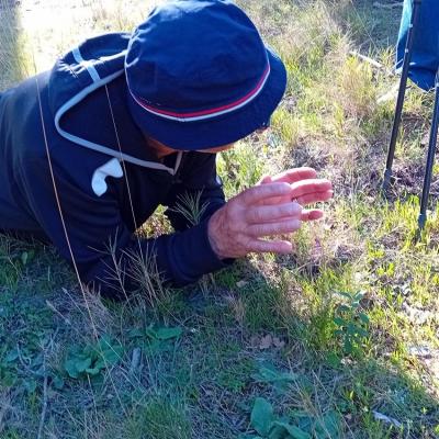 Admirateur d orchidee