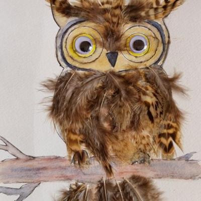 Dessin hibou plumes2