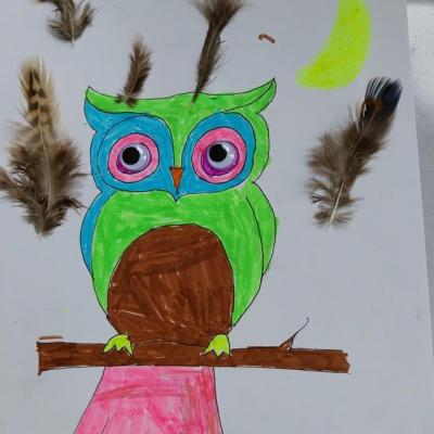 Dessin hibou3
