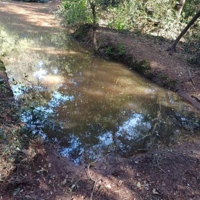 Flaque d eau