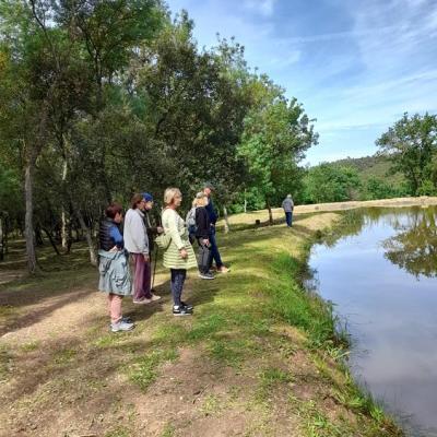 Groupe etang