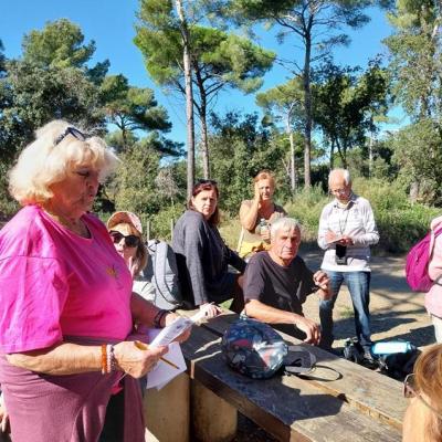 Groupe lecture du programme