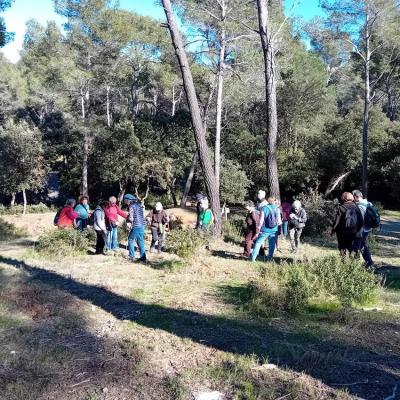 Groupe1 30