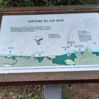 Hist capsicie