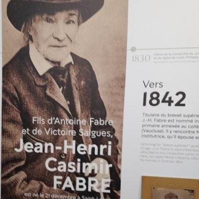 Jean henri fabre
