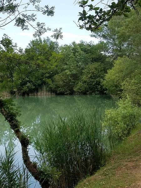 Lac1