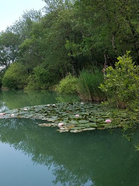Lac2