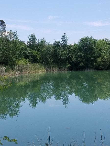 Lac3