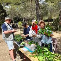Fête de la Forêt de janas