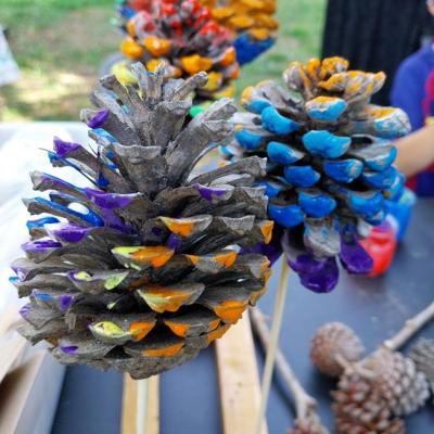 Pomme de pin coloree