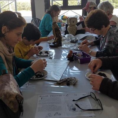 Recherches pelotes rejection