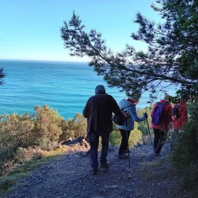 Sentier bord de mer